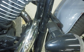 OTHER THUNDER 250 2025