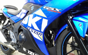 SUZUKI GSX250 R DN11A