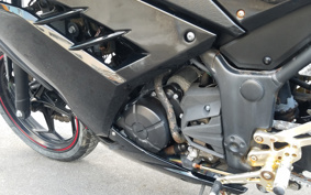 KAWASAKI NINJA 250 EX250L