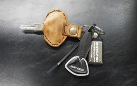 OTHER CAN-AM SPIDER RT LIMITED 2015