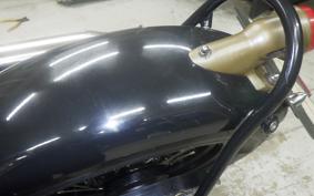 OTHER THUNDER 250