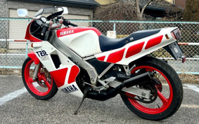 YAMAHA TZR250-1 1KT