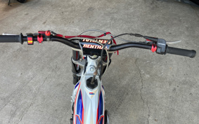 HONDA RTL300R RTL300RF