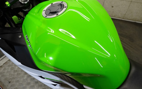 KAWASAKI NINJA 250 EX250L
