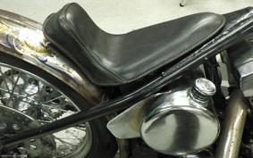 OTHER UNREGISTERED MODEL by BDS1330 2022