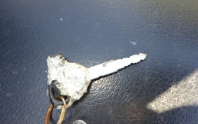 YAMAHA GEAR Gen.2 UA08J