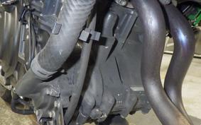 KAWASAKI Z250 Gen.2 2019 EX250Y