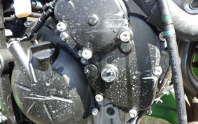 KAWASAKI NINJA ZX-6R 2025 ZX636J
