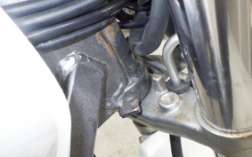 HONDA HORNET 250 1996 MC31