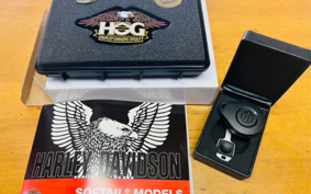 HARLEY  HARLEY FLFB 2018 YFJ