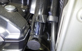 KAWASAKI Z900RS 2025 ZR900K