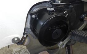 HONDA LITTLE CUB 2023 AA01