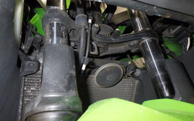 KAWASAKI NINJA 250 ABS EX250L