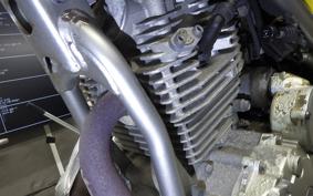 YAMAHA TRICKER 2019 DG10J