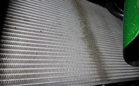 KAWASAKI NINJA 1000 A 2021 ZXT00W