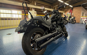 HARLEY FXLRS 2023 YWZ