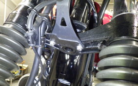KAWASAKI W800 2022 EJ800E