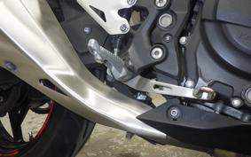 KAWASAKI NINJA 250 2021