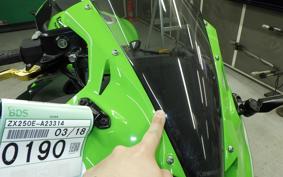 KAWASAKI ZX-25R 2015 ZX250E