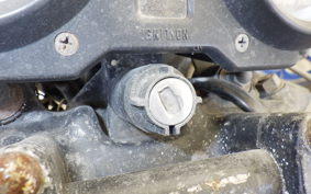 SUZUKI GSX250E GS25X