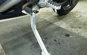 TRIUMPH TIGER 900 GT PRO 2021