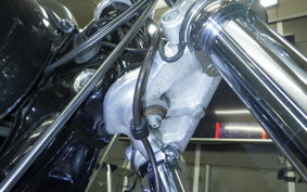 HARLEY FXDL 1580 2009