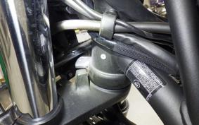 KAWASAKI Z650 RS 2023 ER650M