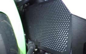 KAWASAKI ZX-4RR 2024 ZX400P