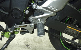 KAWASAKI NINJA 250 SL