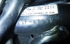 KAWASAKI Z1000 2020 Z1F