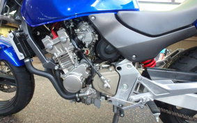 HONDA HORNET 250 MC31