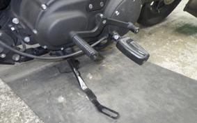 HARLEY XL883N 2019