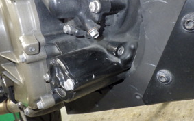 HUSQVARNA SVARTPILEN 401 2021