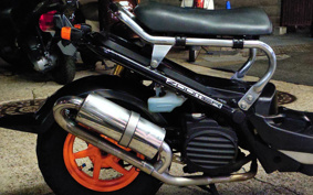 HONDA ZUMAR AF58