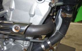 KAWASAKI KLX250 2025 LX250E