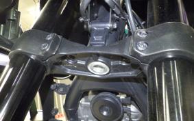 HARLEY ﾊﾟﾝ AMERICA1250S 2022
