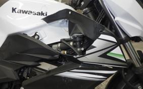 KAWASAKI Z250 2021 ER250C