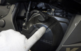 KAWASAKI NINJA 250 EX250L