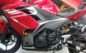 KAWASAKI NINJA 250 EX250P