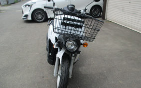 HONDA BENLY50 AA05