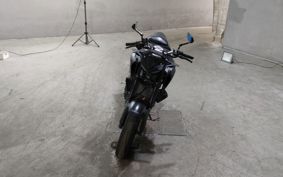 YAMAHA MT-25 RG43J