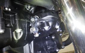 KAWASAKI Z900RS 2026 ZR900K