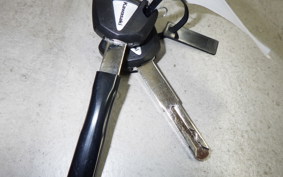 KAWASAKI NINJA1100SX 2025 ZXT10H