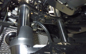 SUZUKI GSX250RA 2007