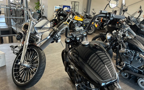 HARLEY FXBB 2020 YJJ