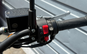 HARLEY X500 2023 W5B