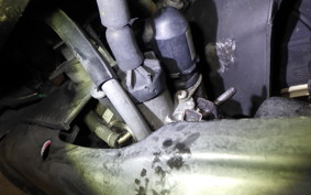HONDA DIO ZX GEN 2 AF35