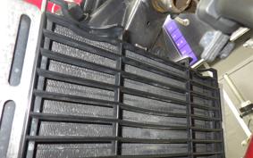 HONDA HORNET 250 MC31