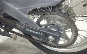 KAWASAKI VERSYS-X 250 A 2024 LE250D