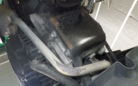 HONDA ZOOMER 2026 AF58